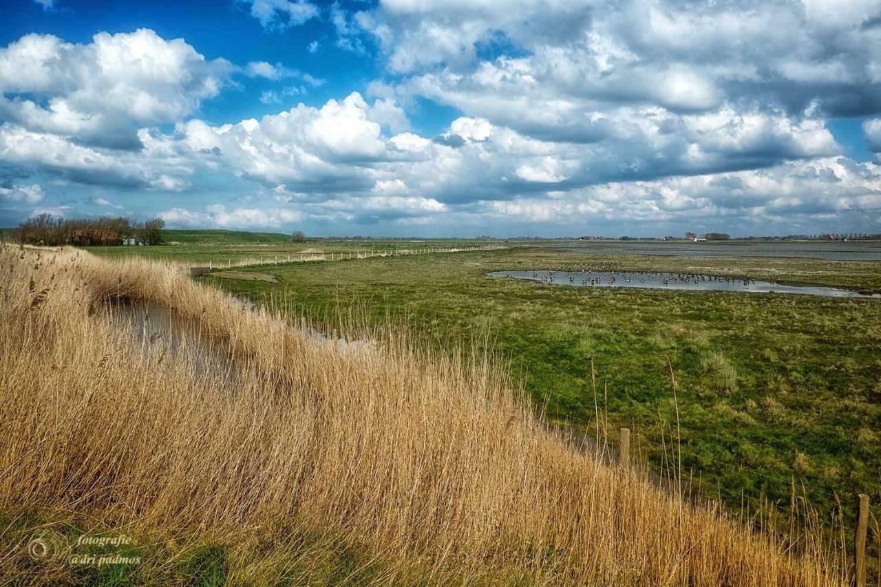 Hogezoom 131 Villa Renesse Kültér fotó